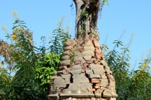 Burma_161120_1663