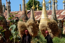 Burma_161120_1703