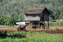 Burma_161122_2549