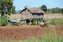 Burma_161122_2553