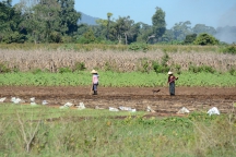 Burma_161122_2556