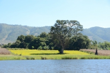 Burma_161122_2574