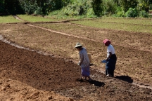 Burma_161124_3167