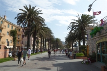 FinLigure_180428_005