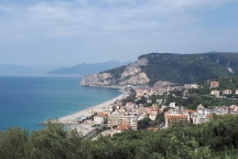 FinLigure_180428_047b