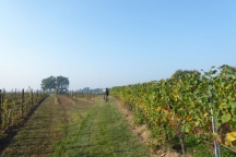 Franciacorta_171014_002