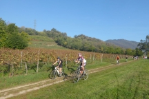 Franciacorta_171014_009