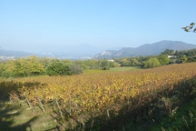 Franciacorta_171014_026