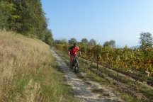 Franciacorta_171014_052