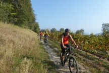 Franciacorta_171014_054