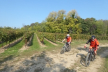 Franciacorta_171014_058