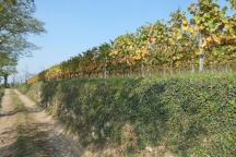 Franciacorta_171014_104