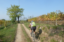 Franciacorta_171014_105