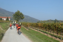 Franciacorta_171014_110