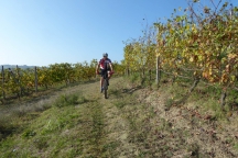 Barbaresco_181013_023