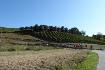 Barbaresco_181013_026