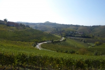 Barbaresco_181013_034