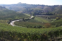 Barbaresco_181013_034B