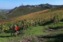 Barbaresco_181013_050B