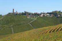 Barbaresco_181013_052