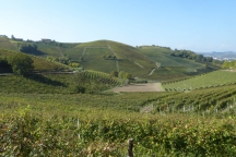 Barbaresco_181013_060