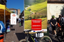 Barbaresco_181013_060B