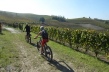 Barbaresco_181013_069