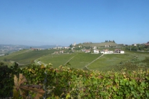 Barbaresco_181013_075