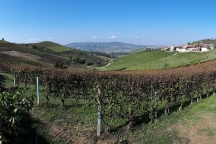 Barbaresco_181013_075B