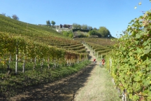 Barbaresco_181013_077