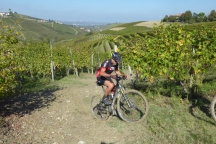Barbaresco_181013_084