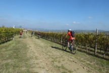 Barbaresco_181013_095