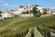 Barbaresco_181013_101