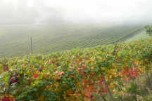 Barolo_181014_009