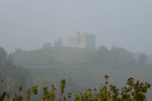 Barolo_181014_020