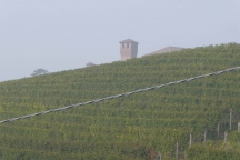 Barolo_181014_022