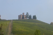 Barolo_181014_036