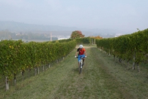 Barolo_181014_042