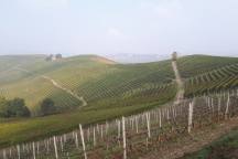 Barolo_181014_045d