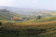 Barolo_181014_045g