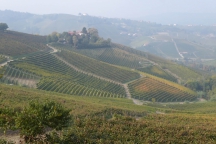 Barolo_181014_050