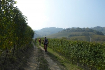 Barolo_181014_068