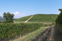 Barolo_181014_069b