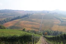 Barolo_181014_069e