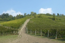 Barolo_181014_079