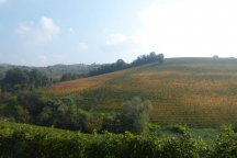 Barolo_181014_082