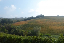 Barolo_181014_082