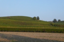 Barolo_181014_118