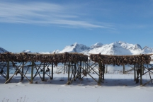 Lofoten_180322_227