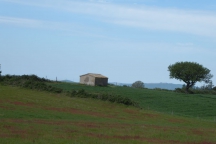 Maremma_170430_267